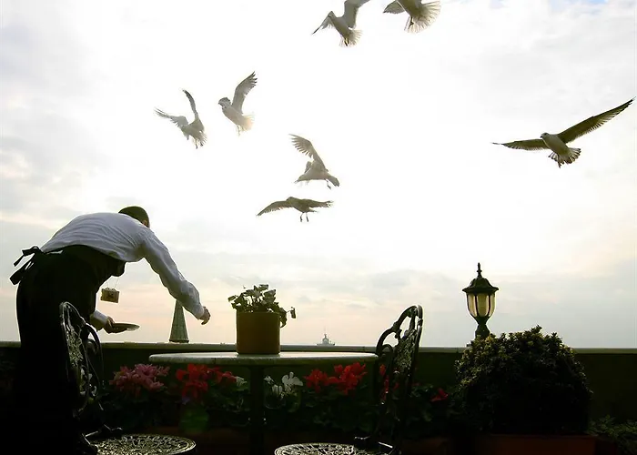 Hotel Dersaadet Stambuł